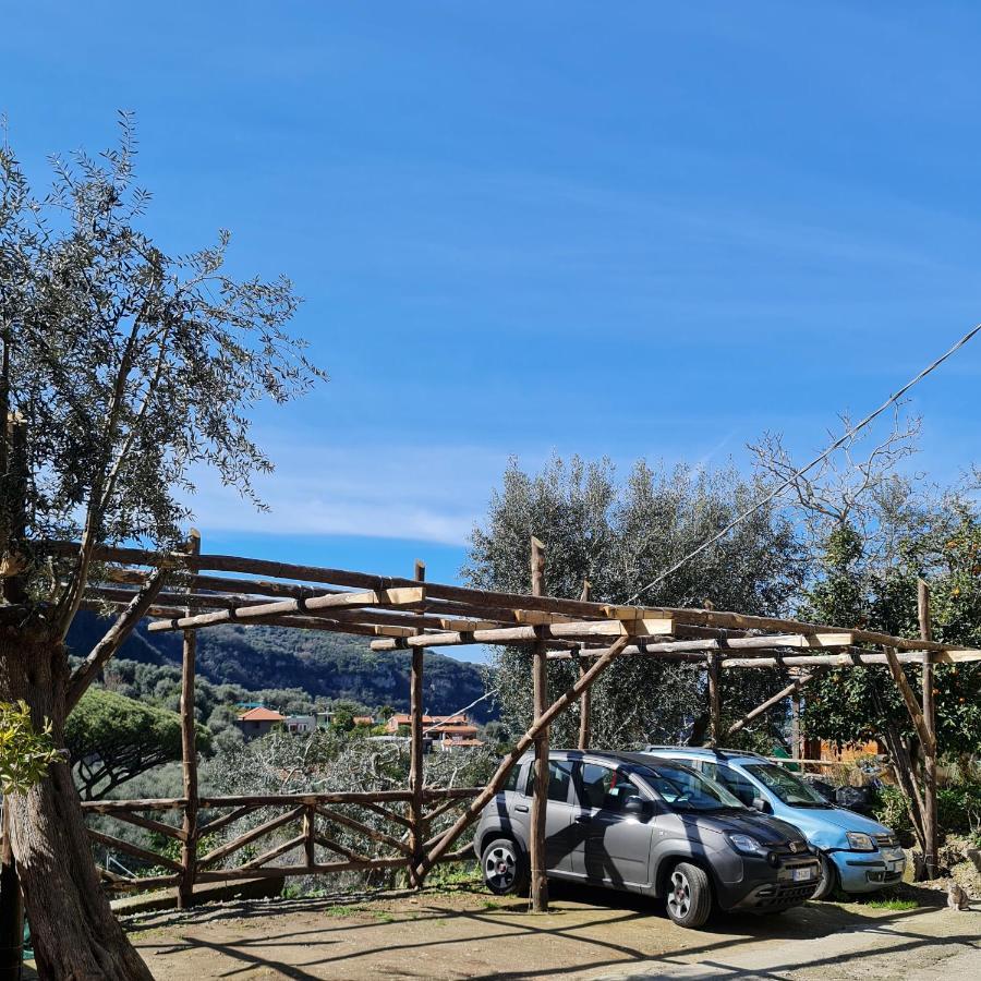 Casa Betania Da Peppe Vila Sorrento Exterior foto