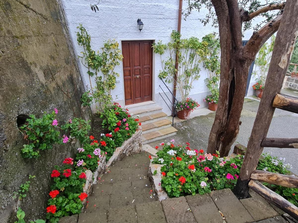 Casa Betania Da Peppe Vila Sorrento Exterior foto